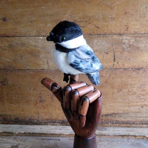 MINI CHICKADEE PUPPET - Coastal Maine Botanical Gardens Online Shop