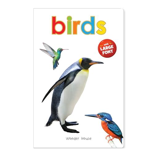 Birds (Big Board Books)