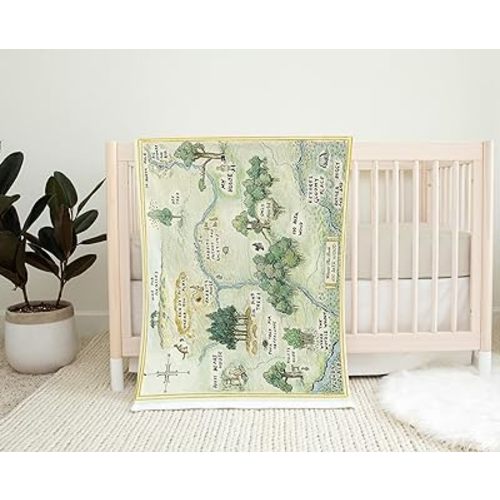 Winnie The Pooh 100 Acre Wood Baby Blanket, Minky Minky, Light Blue