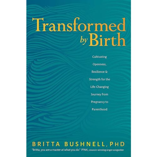 Transformed by Birth: Cultivating Openness, Resilience, and Strength for the Life-Changing Journey from Pregnancy to Parenthood Paperback – January 28, 2020