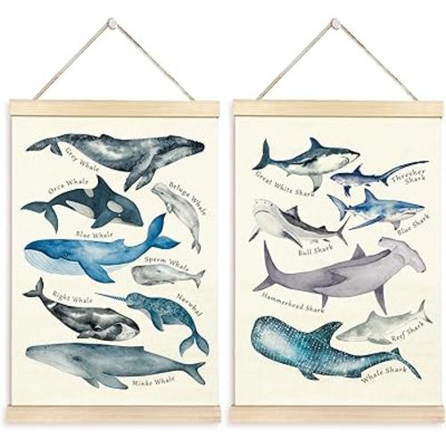 TAEDIN Ocean Animal Chart Wall Art Poster Hanger Frame Set of 2 - Shark Whale Wall Decor with Wood Frames, Coastal Nautical Decor for Bathroom Home Classroom Lake House, 16x24 Inches