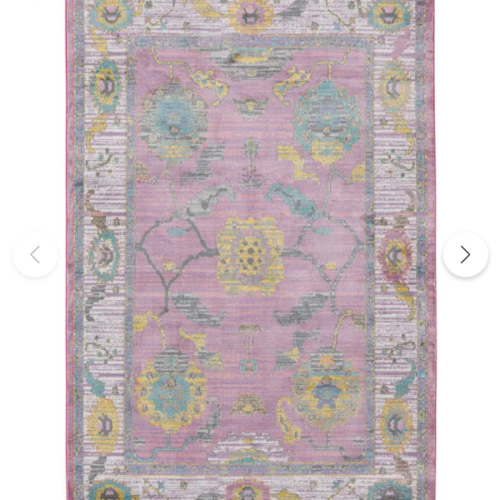 Pink 6' x 9' Paragon Rug | Rugs.com