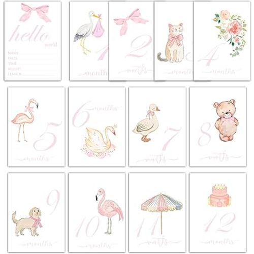 Monthly Milestone Signs, Watercolor Baby Milestone Cards, Monthly Photos Pictures Newborn Photography Prop,13 PCS Pregnancy Journey Birth Gift Birth Announcement Sign-05