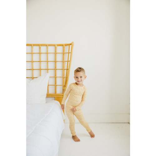 2pc Long Sleeve Pajama Set - Vance – Copper Pearl