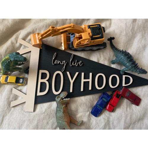 Long live boyhood pennant, pennant sign