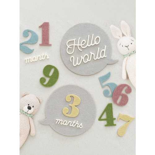 Felt Speech Bubble Baby Milestone Sign – Nursery Photo Prop