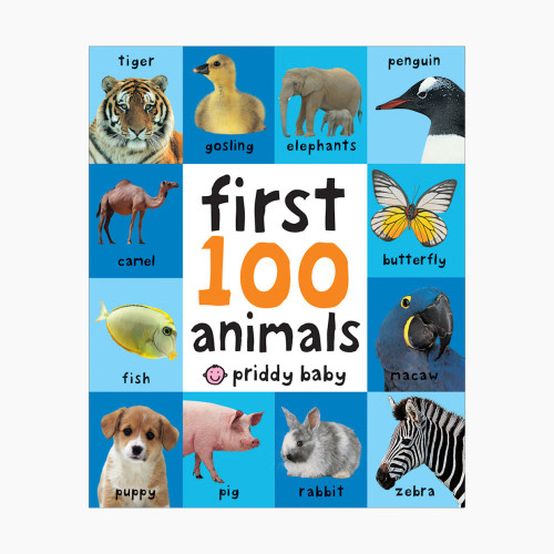 First 100 Animals