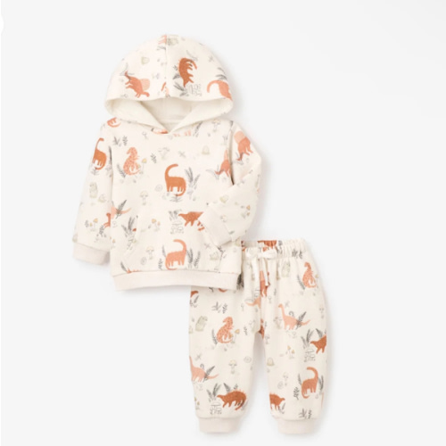 Dinosaur Organic Printed Fleece Hoodie + Jogger Set – Elegant Baby