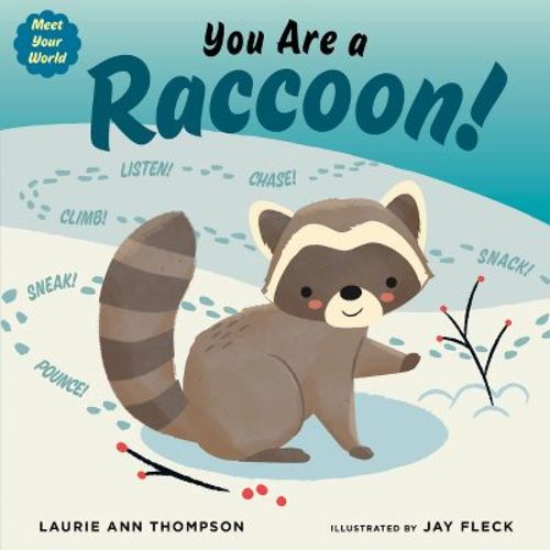 You Are a Raccoon! - (Meet Your World) by Laurie Ann Thompson (Board Book)