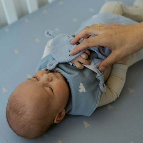 100% Muslin Lovey | Windy | Parker Baby Co.