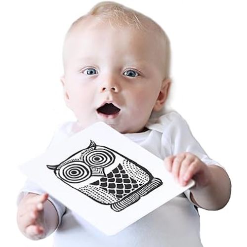 Wee Gallery Black and White Art Flash Cards for Babies, High Contrast Educational Animal Picture Cards, Baby Visual Stimulation, Brain and Memory Development in Infants and Toddlers - Original Animals