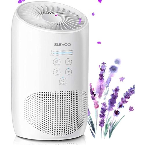 Slevoo Air Purifiers for Bedroom Pets in Home, 2024 New Upgrade H13 True HEPA Air Purifier with Fragrance Sponge, Effectively Gether Fine Particles, Smoke, Pet Dander, Odors, White