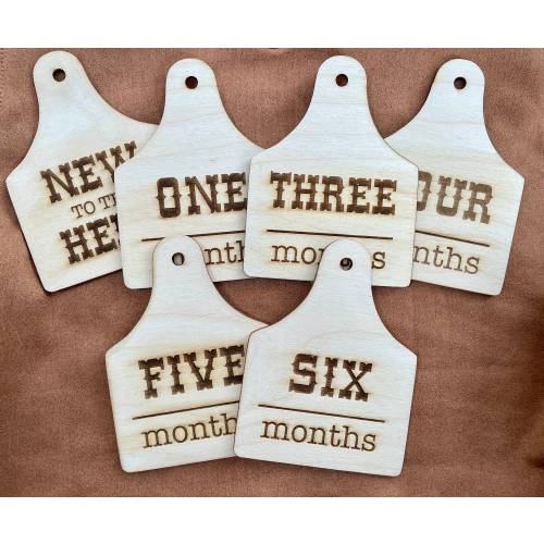 Cow Tag Baby Milestone, Wooden Monthly Milestone, Baby Shower Gift, Cowgirl, Handmade, Cowboy, Cow Milestones, Farm First Year, Western