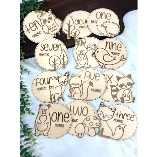 Handcrafted Woodland Monthly Milestone Markers for Baby Photoshoots - Set of 12