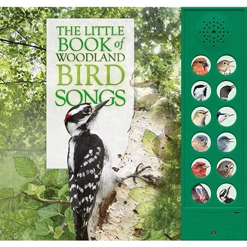 The Little Book of Woodland Bird Songs Hardcover – Sound Book, September 25, 2018