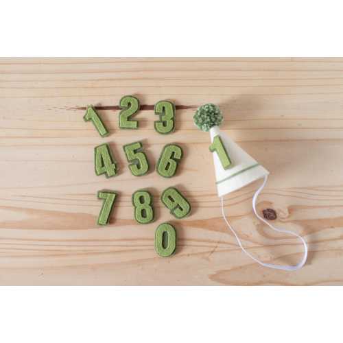 Personalized Felt Baby Mini Monthly Birthday Interchangeable Number Hat with Pom Pom