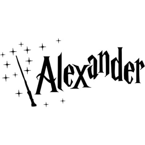 Custom Name Wall Decal/Personalized Wall Sticker/Harry Sticker/Wizard HP Room/kidsroom/Magic Wand/Gift/Made in USA