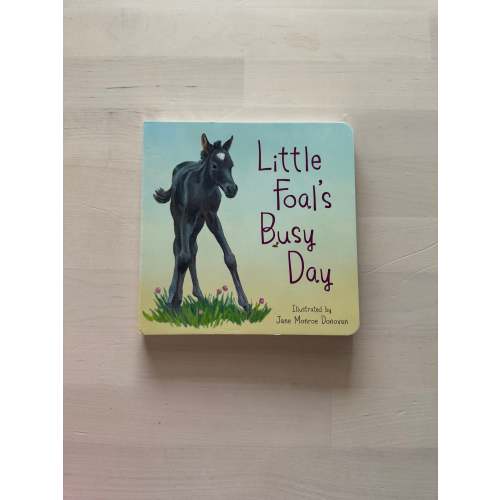 little foal's busy day – Bridle Up Hope Shop