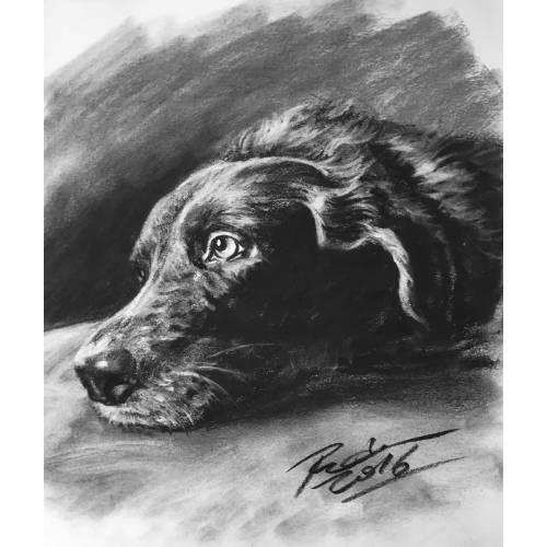 Custom Pet Portrait | Custom Dog Portrait| Pet Commission | Custom Charcoal Pet | Custom Wall Art | Pet Lover Gift | Dog Art | Cat Portrait
