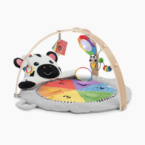 Baby Einstein Zen's Activity Milestones Plush Gym
