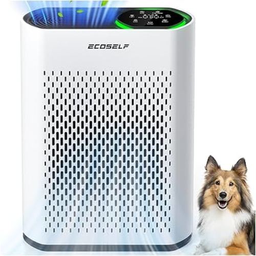 Powerful Air Purifiers for Home Large Room Up to 2400 Ft², ECOSELF HEPA Air Purifier with PM 2.5 Air Quality Display 20dB Sleep Mode, Air Purifiers for Bedroom Office Living Room HAP602 White
