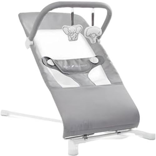 Baby Delight Highland Baby Bouncer | Infant | 0 – 6 Months | 3-Position Recline | Pebble Grey