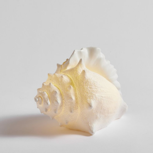 Lit Coastal Objects | Pottery Barn