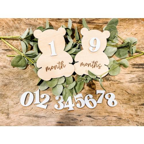 Teddy Bear Monthly Milestone Markers, Monthly Photo Sign, Train Milestone Discs, Baby Shower Gift, Baby Photo Props, Bear First Year Photo