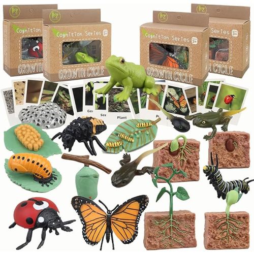 Life Cycle Learning & Education Toys,Montessori Toys Figurines for Frog, Butterfly, Ladybug,Plants Kit,Gift for Girl & Boy for 3 4 5 Year Old - Butterfly Frog Ladybug Plant