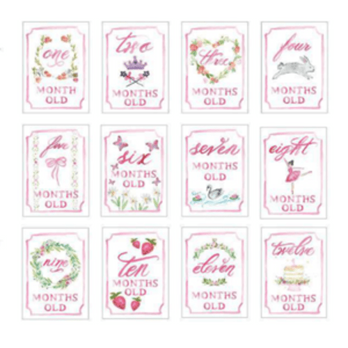 Monthly Milestone Card Set – Over The Moon Gift