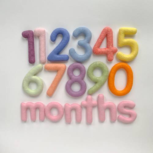 Felt Baby Monthly Milestone Numbers, Custom Colors
