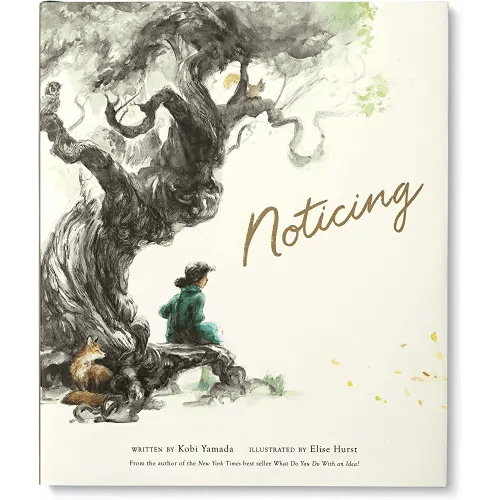 Noticing (Mentor)