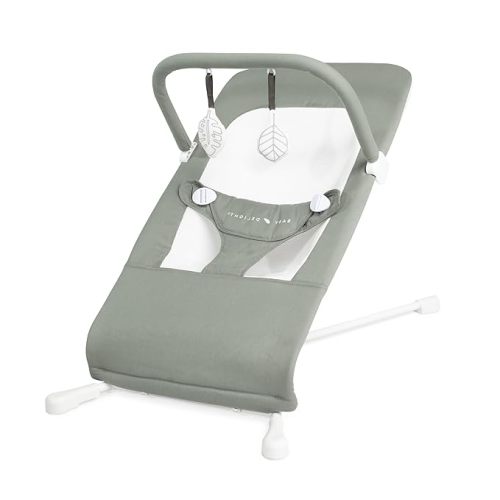 Baby Delight Highland Organic Baby Bouncer | Infant | 0 – 6 Months | 3-Position Recline | Organic Sage