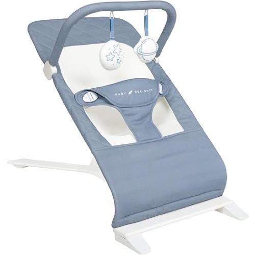 Baby Delight Alpine Deluxe Portable Baby Bouncer | Infant | 0-6 Months | 100% GOTS Certified Organic Cotton Fabric | Organic Dusty Blue
