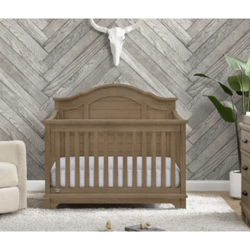 Asher Collection