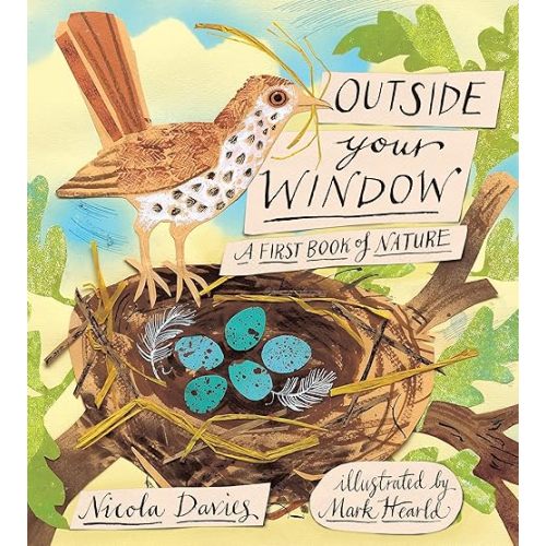 Outside Your Window: A First Book of Nature Hardcover – Picture Book, February 14, 2012
