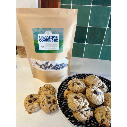 THE BEST Lactation Cookie Mix (22oz)