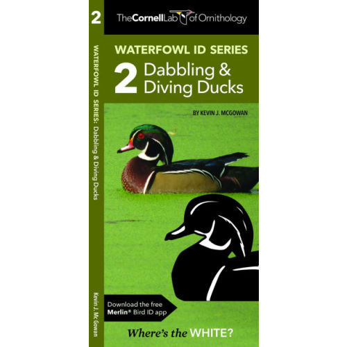 Waterfowl ID Series: 2 Dabbling & Diving Ducks by Kevin J. McGowan, Waterford Press Waterford Press, Other Format | Barnes & Noble®