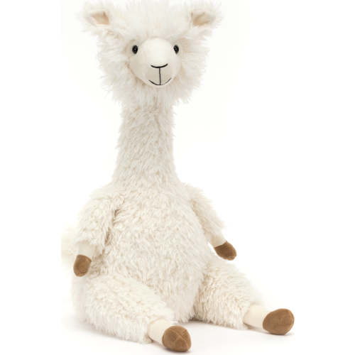 Alonso Alpaca