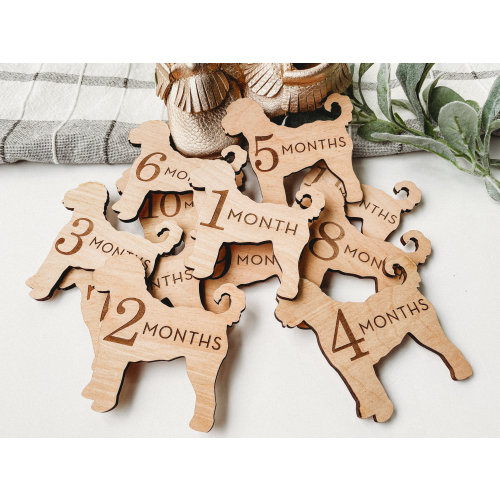 Dog Nursery Goldendoodle Monthly Milestone Plaques | Baby Shower Gift | Custom Goldendoodle Newborn Baby Gift for Dog Nursery | Dog Mom Gift
