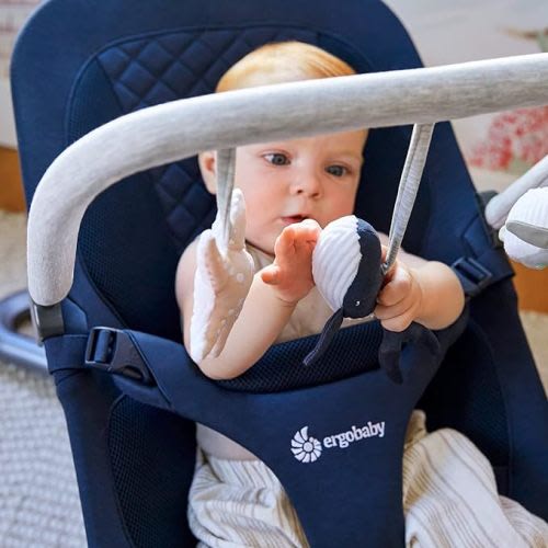 Ergobaby Evolve 3-in-1 Bouncer Toy Bar Accessory, Ocean Wonders Light Grey