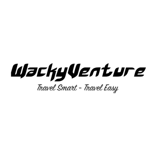 Buy Teeny Traveler™ - Diaper Bag Online | WackyVenture