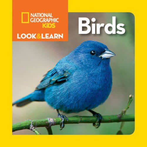 National Geographic Kids Look and Learn: Birds by National Geographic Kids, Board Book | Barnes & Noble®