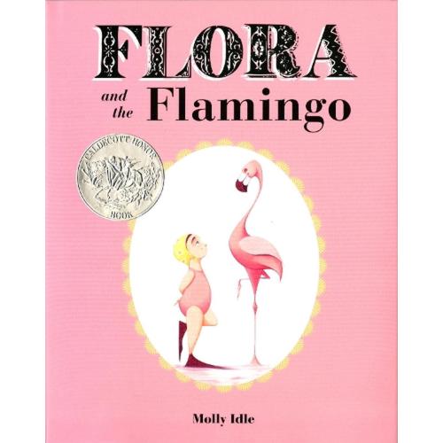 Flora and the Flamingo (Hardcover)