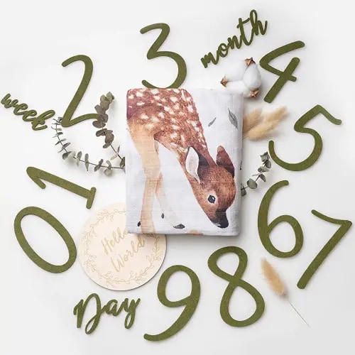 Woodland Milestone Blanket