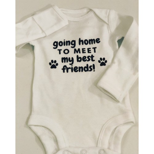 Going Home to Meet My Best Friend Bodysuit / Baby One Piece / Newborn Boy Girl Going Home / Coming Home Outfit