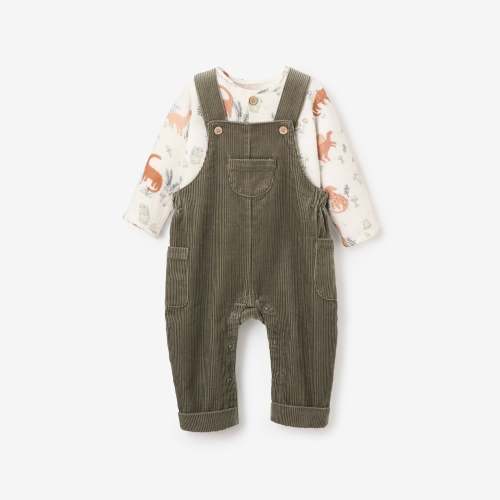 Dinosaur Organic Muslin Top + Corduroy Overall Set – Elegant Baby
