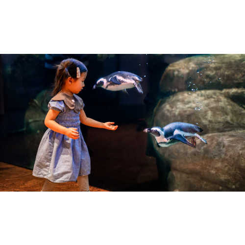 California Academy of Sciences Family Membership