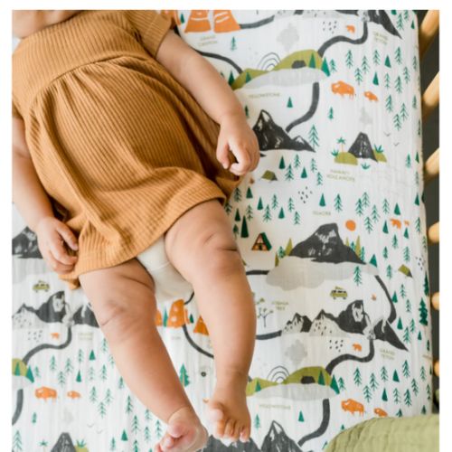 National Parks Crib Sheet