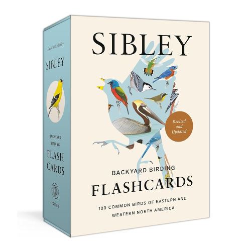 Sibley Backyard Birding Flashcards, Revised and Updated: 100 Common Birds of Eastern and Western North America (Sibley Birds)